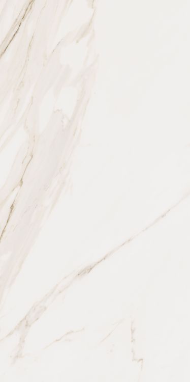 Omnia Calacatta Matte 24 x 48